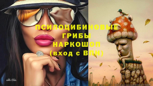 мет Аркадак