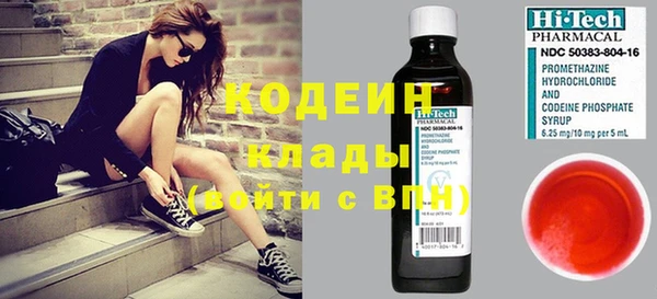 шишки Алзамай